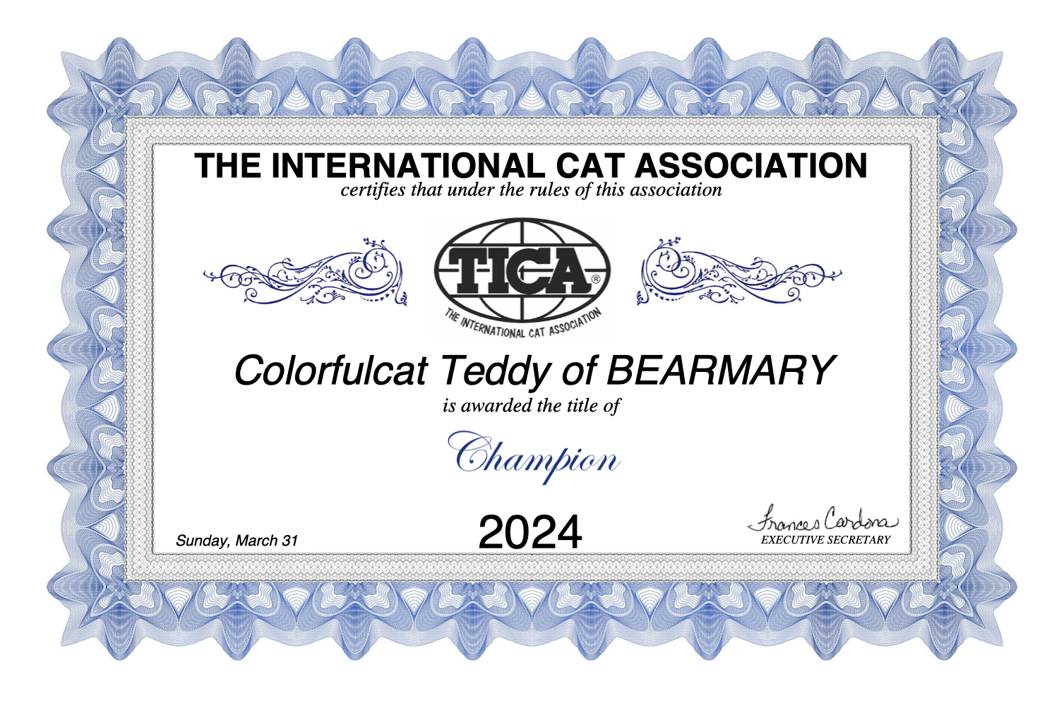 cat show toronto 2024